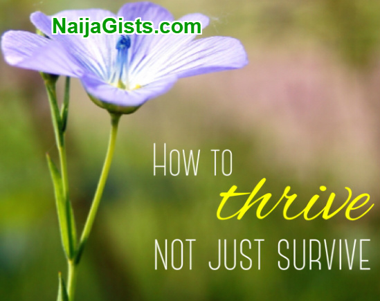 how to thrive how to thrive