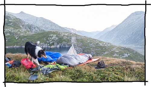 Wildcampen mit dem Hund