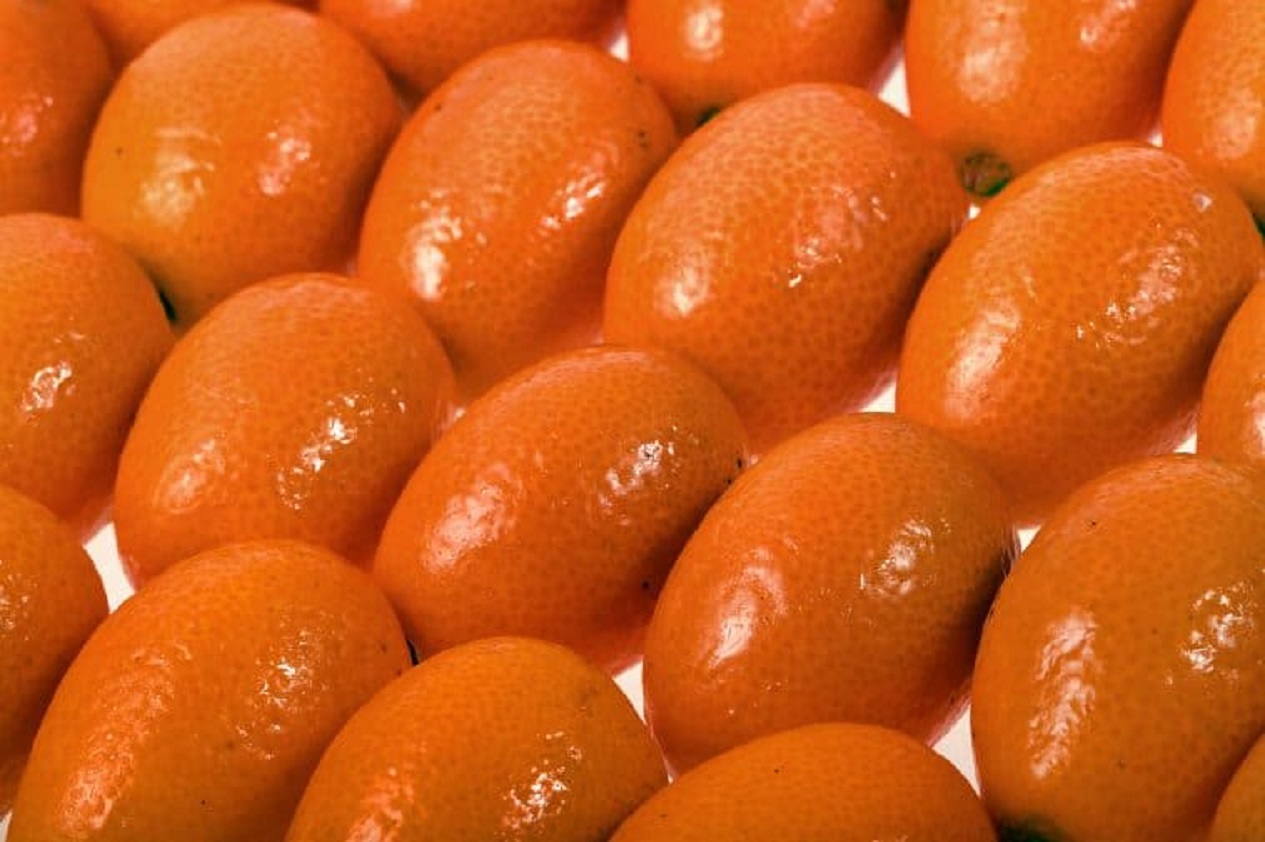 9 Increíbles beneficios del Kumquats
