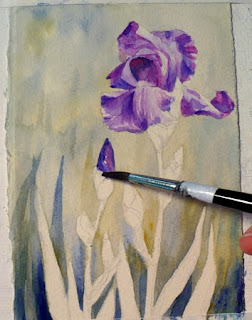 Painting a purple iris in watercolor