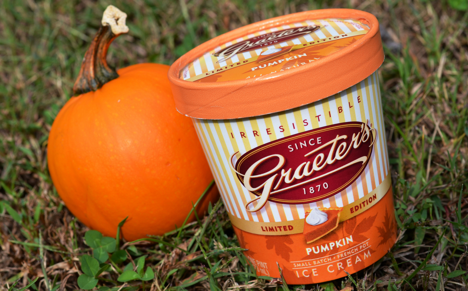 food and ice cream recipes: REVIEW: Graeter's Pumpkin