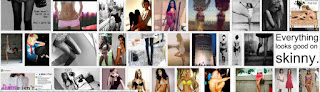 Watch Me Disappear: Gendered Bodies, Pro-Anorexia, and Self-Injury in Virtual Communities (BLOG)