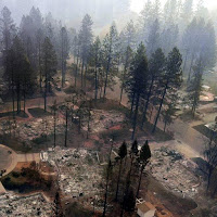 View from above of neighborhood after a wildfire as burned through. Buildings are burned to ground, but taller coniferous trees remain intact.