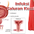 Penyebab Kencing Nanah Apa Akibat Infeksi Saluran Kemih