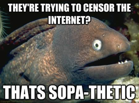 They're Trying To Censor The Internet - Thats Sopa-Thetic