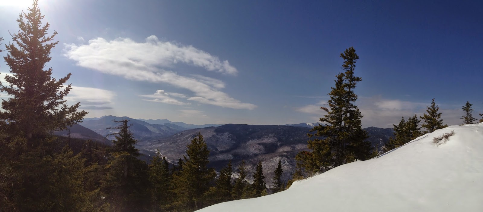 Paws on Peaks A Perfect Hike to Mt Crawford