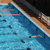 Agenda de agosto | Piscinas al aire libre