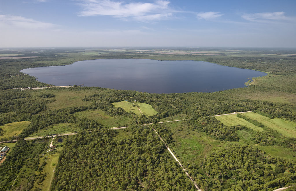 Southwest Florida Online News Immokalee's Lake Trafford Restoration