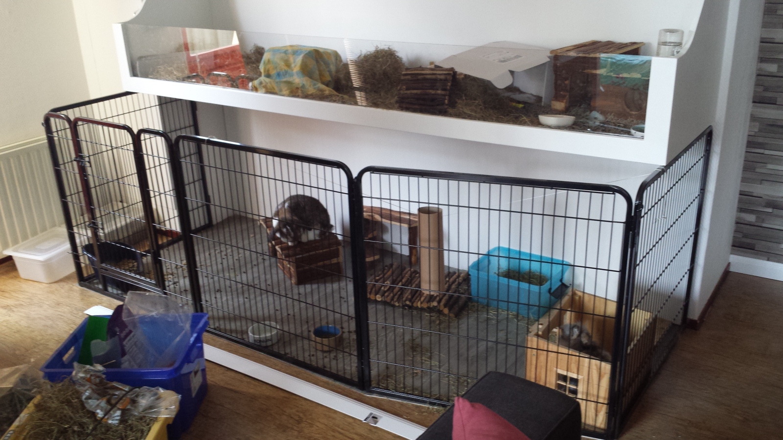 Het Vrolijke Konijnenhol Huisvesting