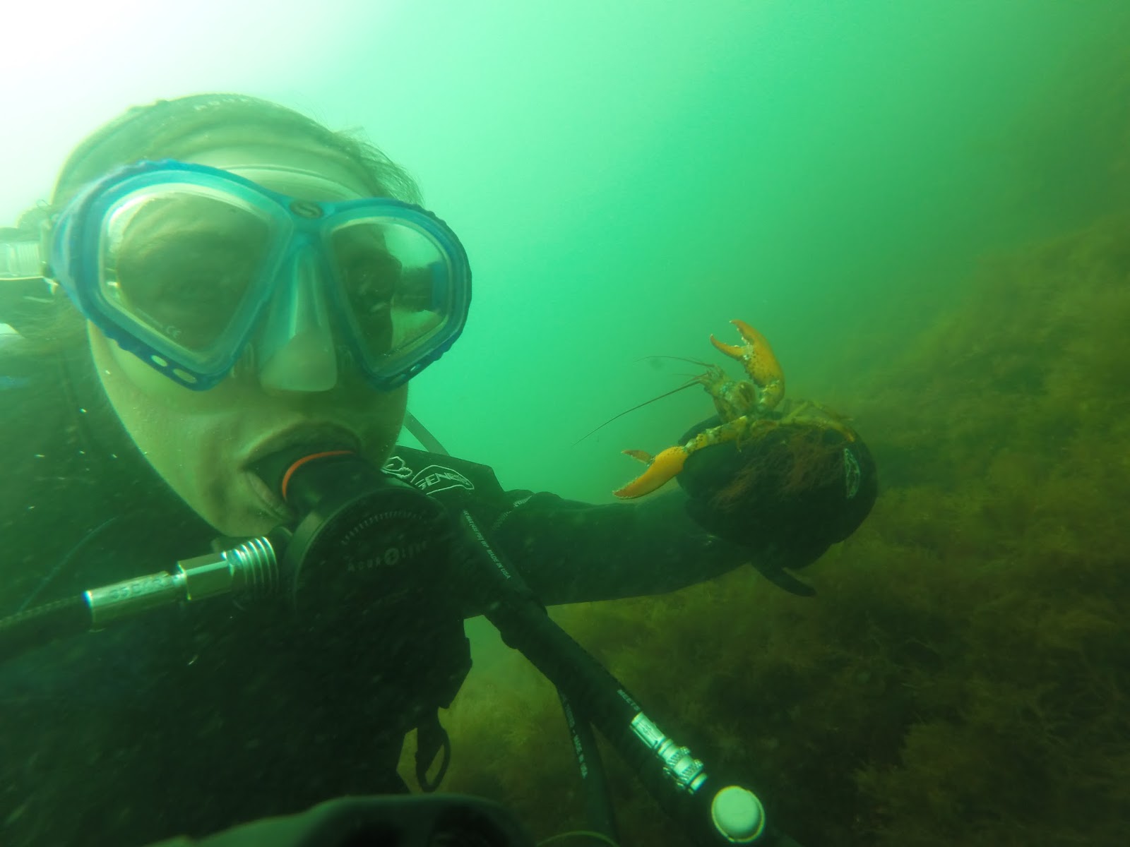 Katie Wanders Scuba Diving Kings Beach, Newport, Rhode Island