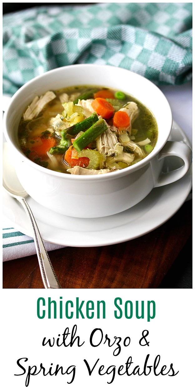 Chicken Orzo Soup with Spring Vegetables