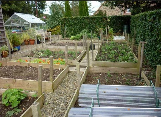 Cara Membuat Desain Taman Sayur dan Buah Sederhana Tapi ...