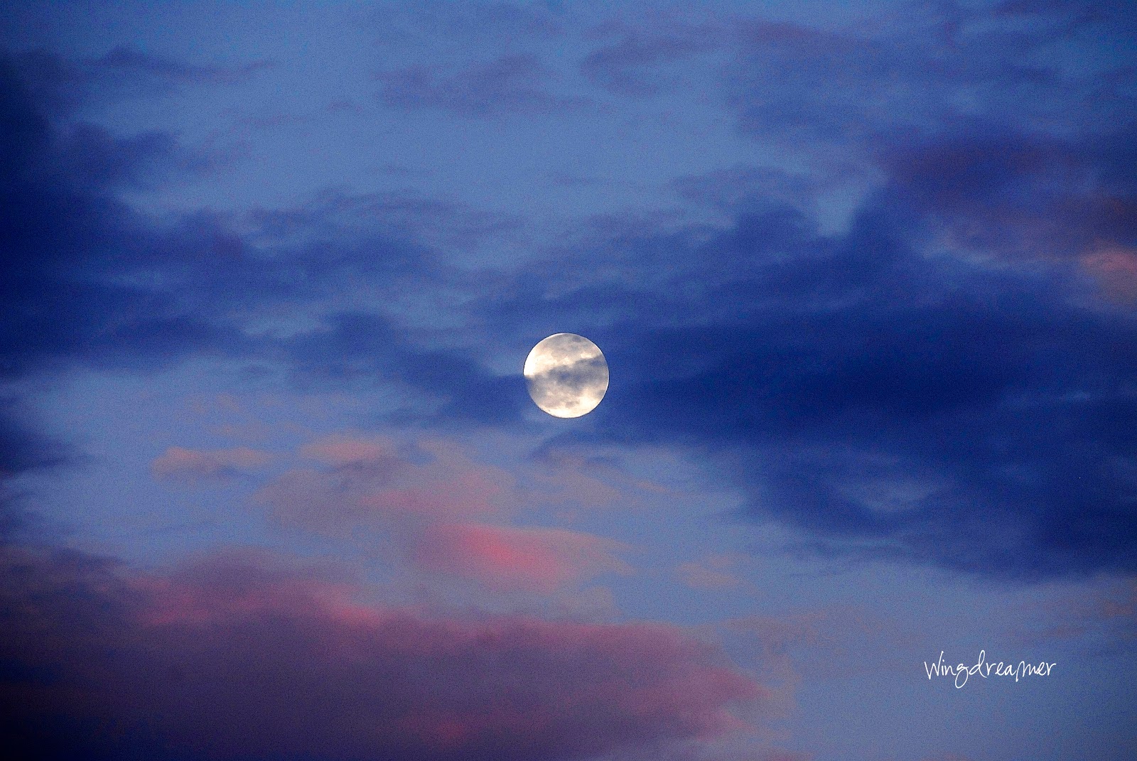 Wingdreamer Learns to Fly God Hung the Moon