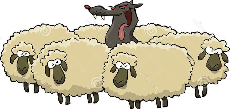 Serigala Berbulu Domba Indahnya Peribahasa