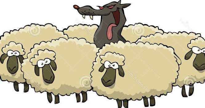 86 Gambar Harimau Berbulu Domba Hd Gambar Pixabay