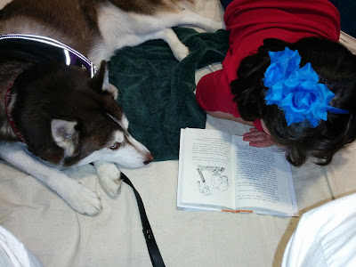 Pet Therapy program tips. Therapy dog handler, Therapy animal programs. Therapy dogs