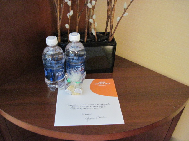 Travel Reviews & Information: Warner Robins, Georgia / Marriott Courtyard