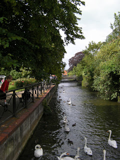 salisbury wiltshire river running through salisbury with swans