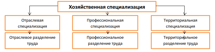 Хозяйственная специализация. Специализации хозяйственной деятельности. Экономическая специализация. Схема хозяйственная специализация. Специализация это.