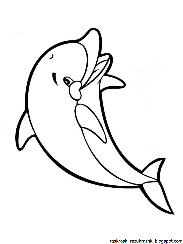 Раскраска дельфин распечатать