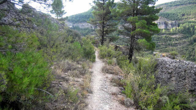 Senda de los Hocinos