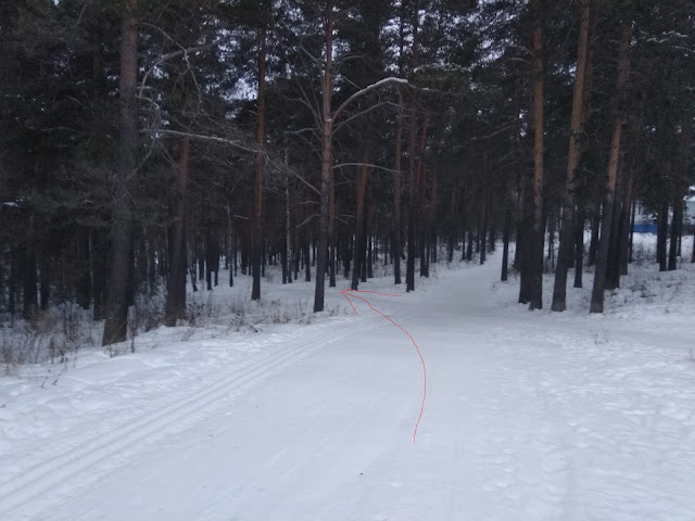 Дегтярские воробьи