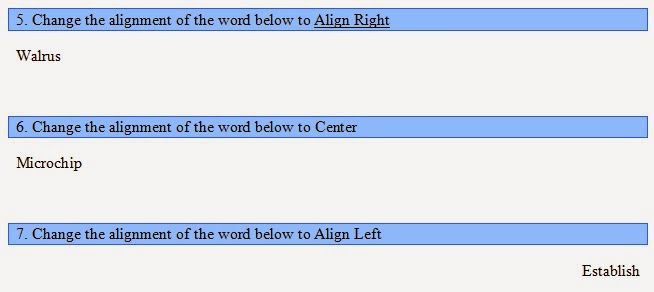 teacher dude microsoft word basic test self grading