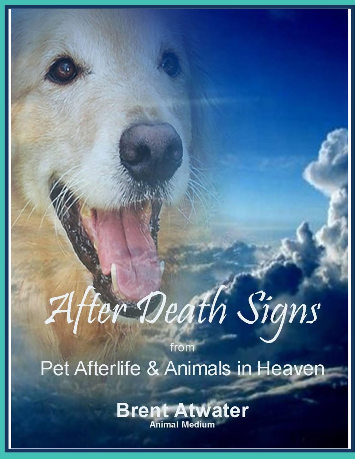 Movie About A Dog Reincarnation Movie About A Dog Reincarnation