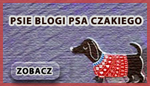 psie blogi czakiego