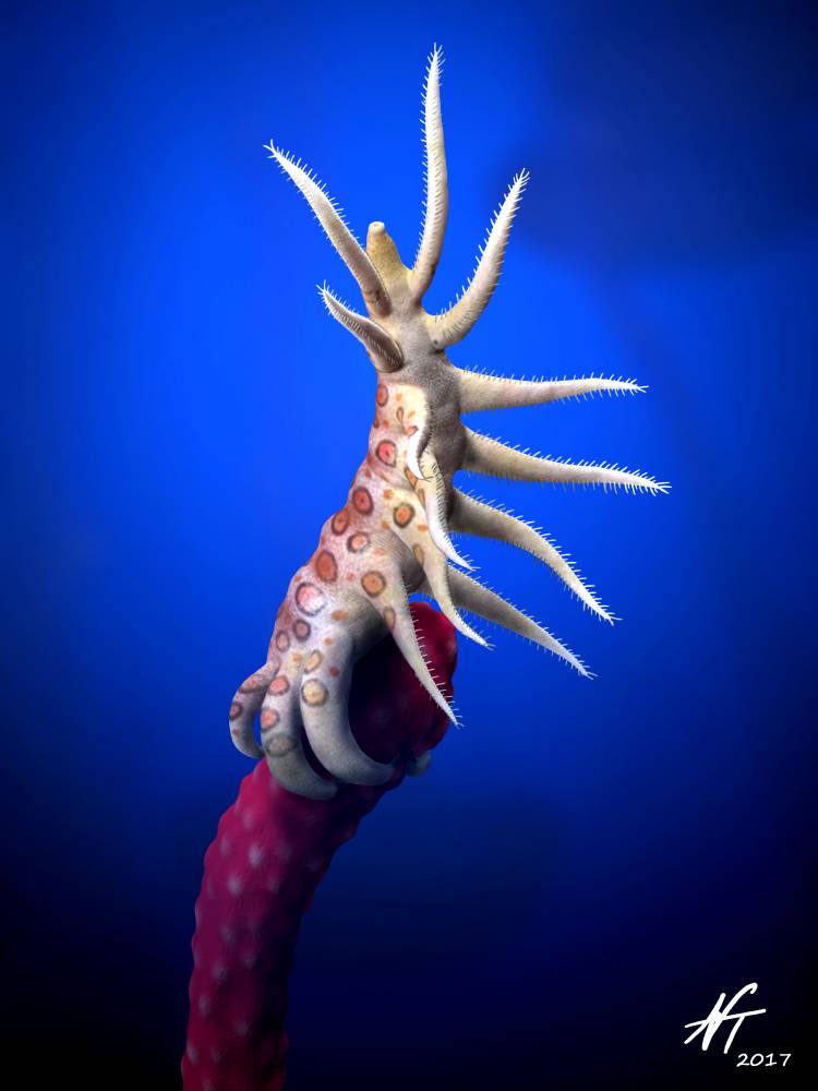 Animals Nature Architecture Animals Nature Architecture