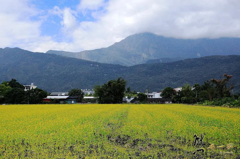 豐田文史館|廣島式菸樓|五味屋