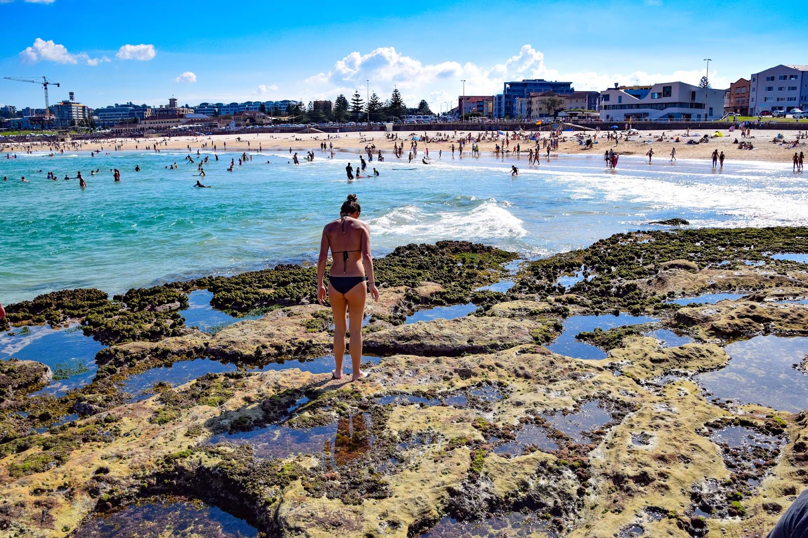 bondi beach rockpools