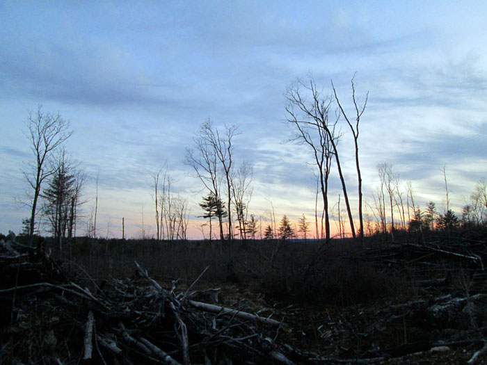 Les minéraux Québec Sur le terrain 34 Fouilles dans la ZEC Bras