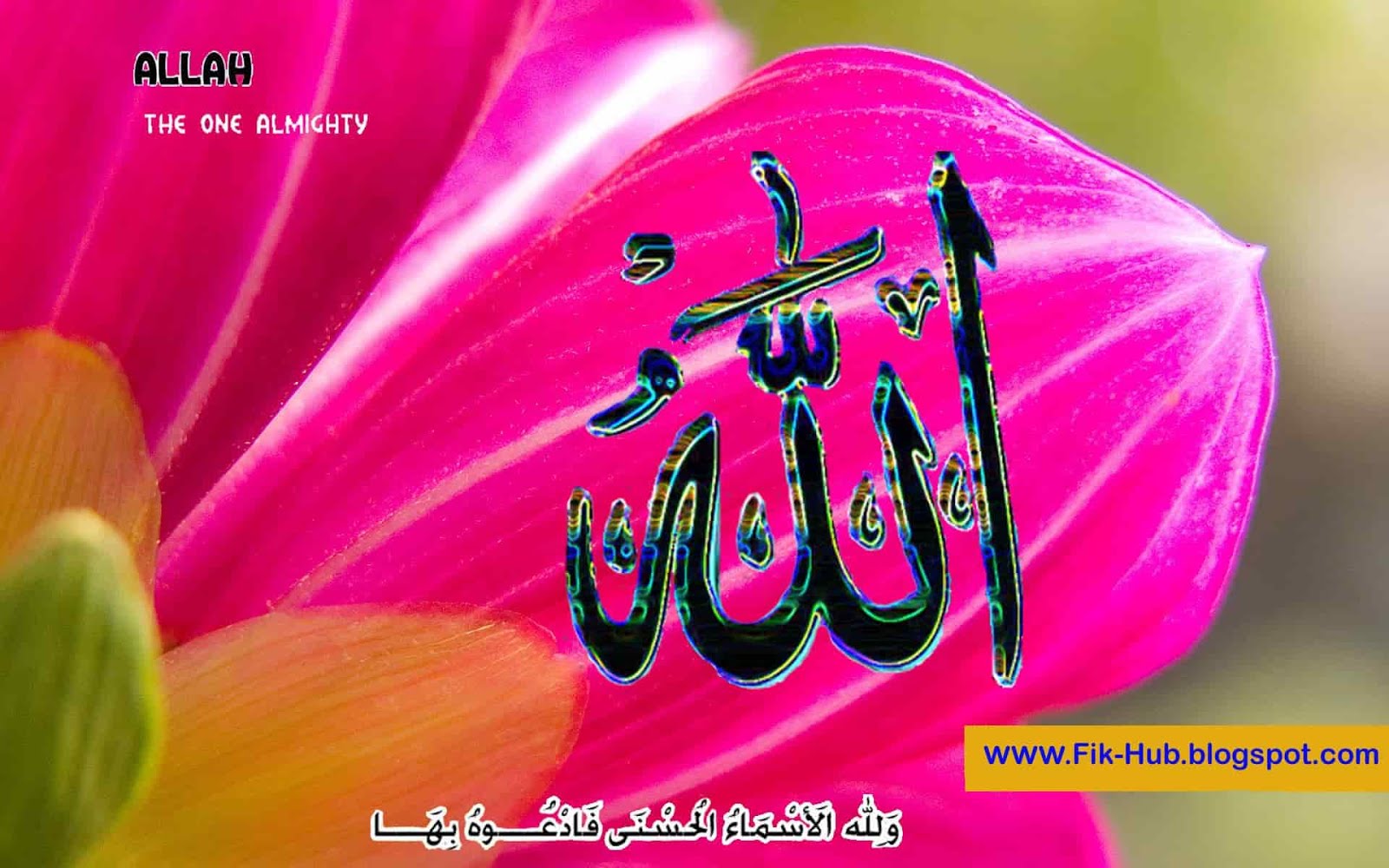 Download 700+ Wallpaper Allah Hd Flower Paling Baru Download 700+ Wallpaper Allah Hd Flower Paling Baru