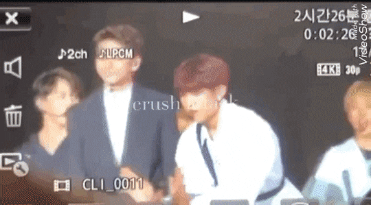 FoolishForcefulBlowfish-size_restricted.