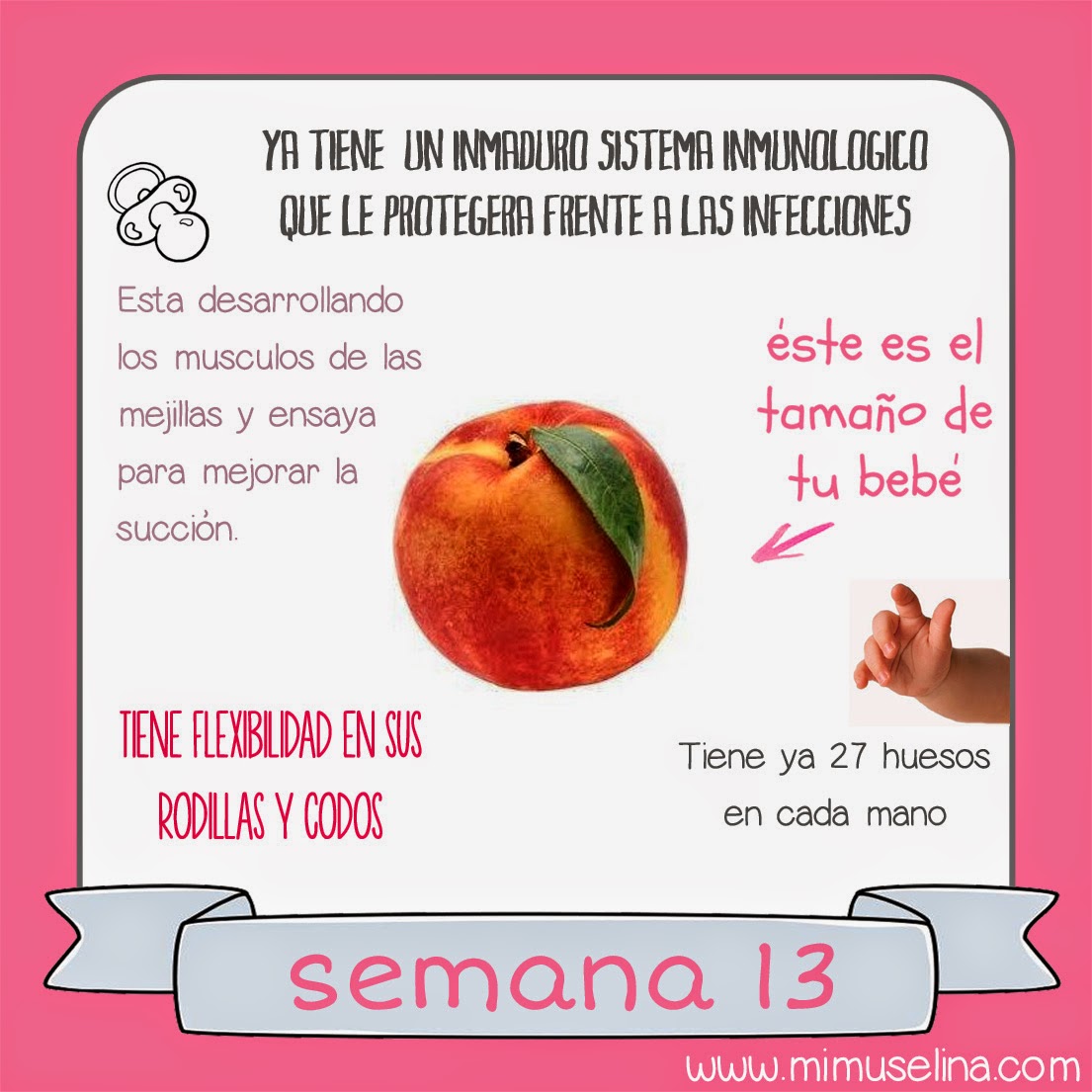 imagenes de un bebe de 13 semanas en el vientre