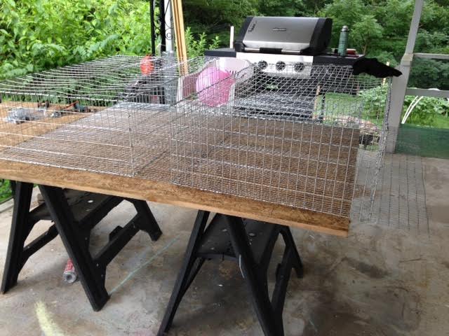 Blue Ridge Quail Farm: Quail Cages Being Built!!