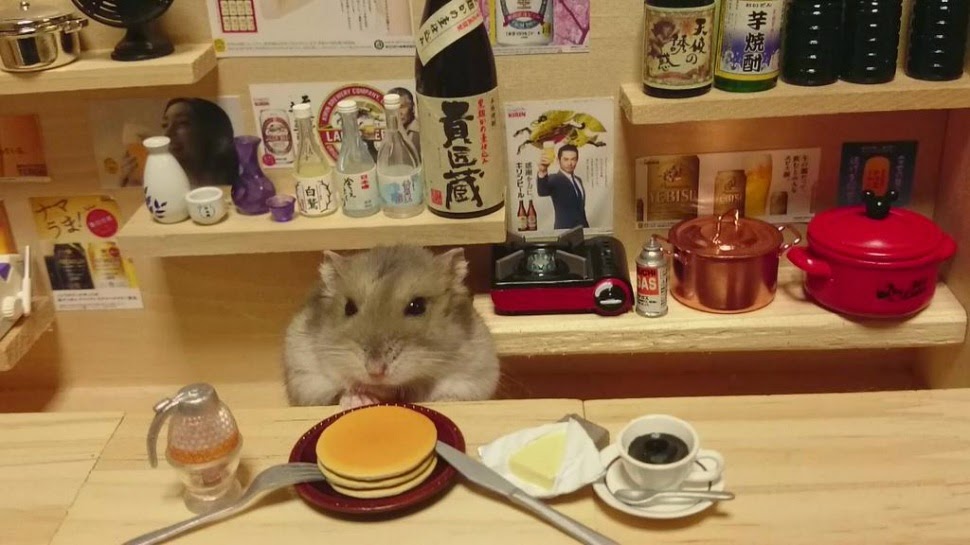 Domi Good Adorable Hamster Bartenders Serving Tiny Food And Drinks (77