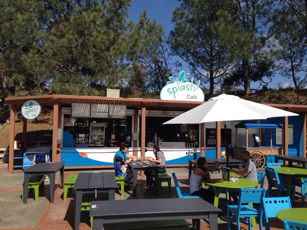 Pillar to Post COFFEE BEANS & BEINGS / INSTITUTIONAL SPLASH