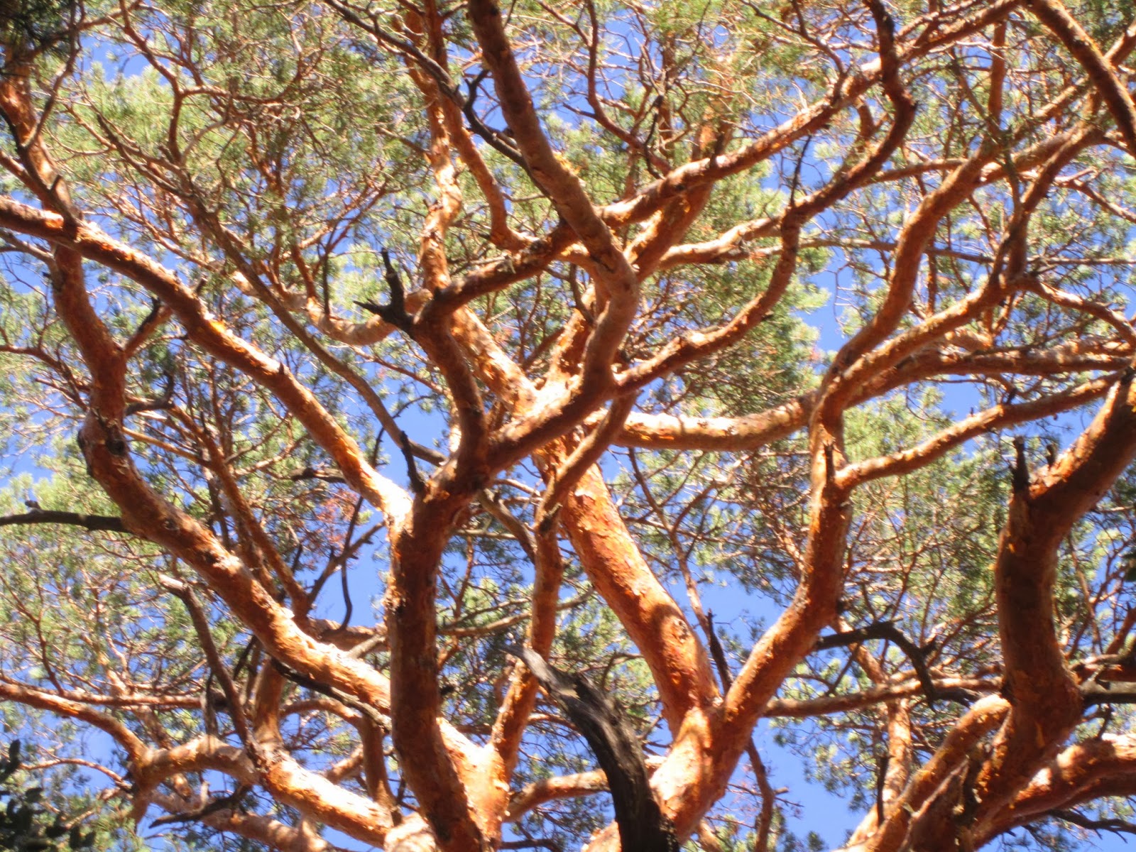 Equal rights for women worldwide Consider measures to achieve gender