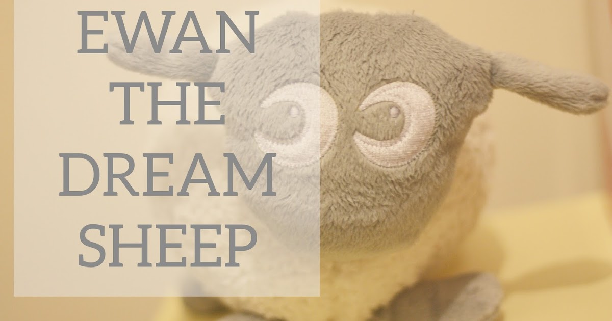 EWAN THE DREAM SHEEP REVIEW The littlest darlings