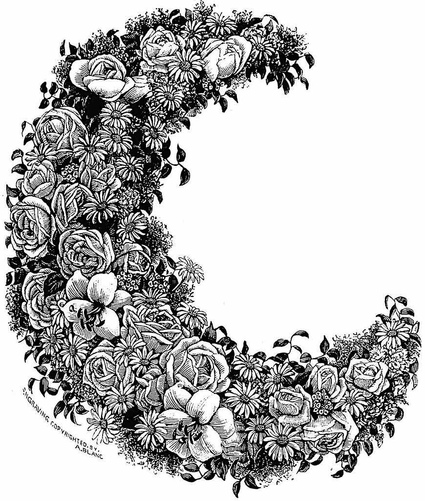 1888 dried flowers an 1888 dried floral arrangement from a catalog, in a moon crescent shape