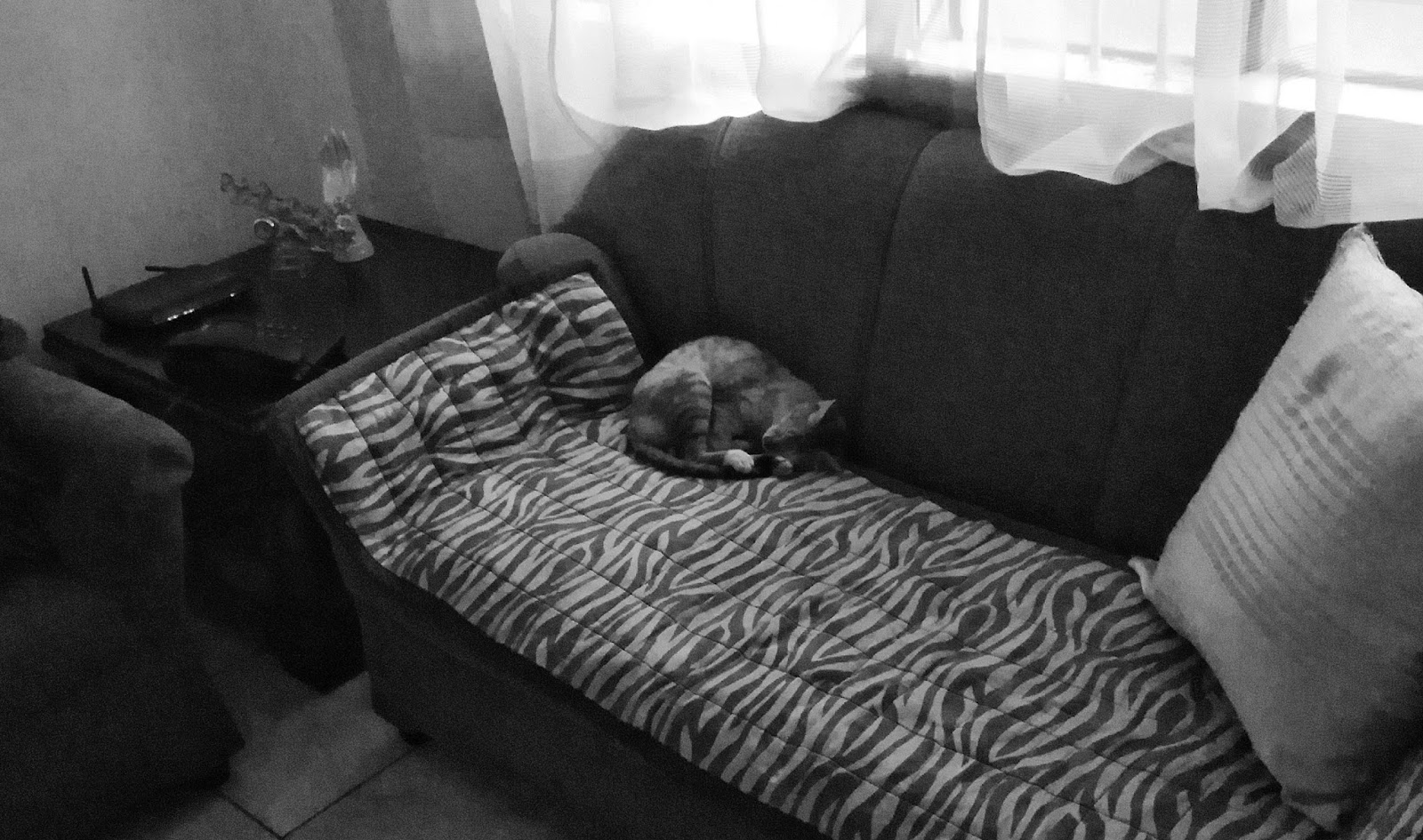 Royal Domesticity by Denise Rayala Dear Sophia, You Slept on the Couch Last Night