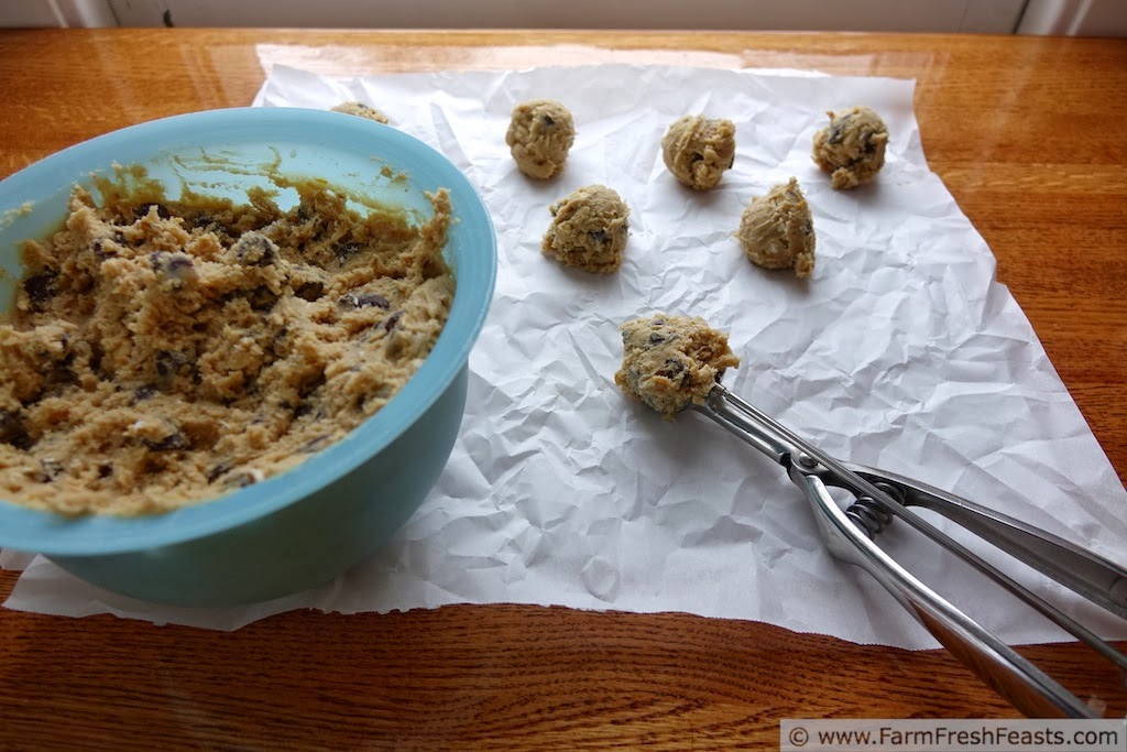 Farm Fresh Feasts Orange Oatmeal Secret Ingredient Chocolate Chip Cookies
