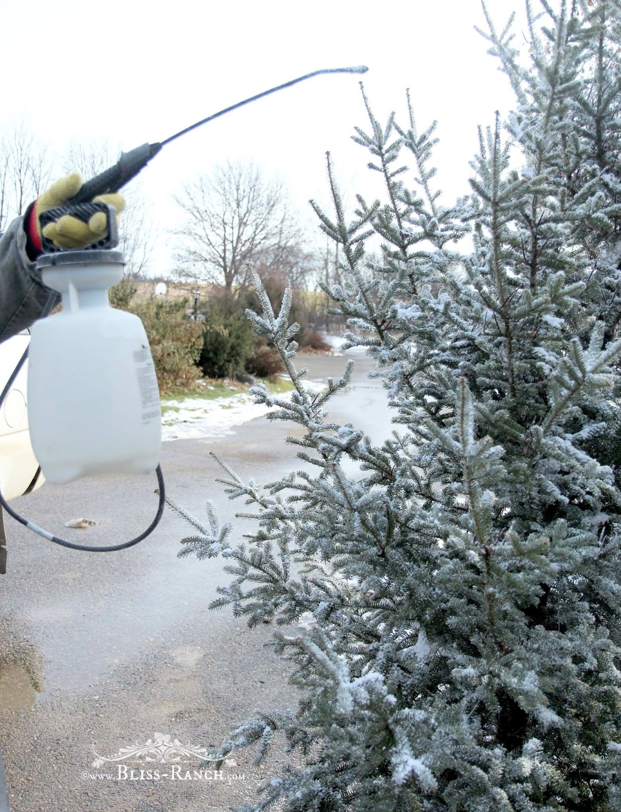Bliss Ranch Flocking The Tree Using A Pro Grade Flock