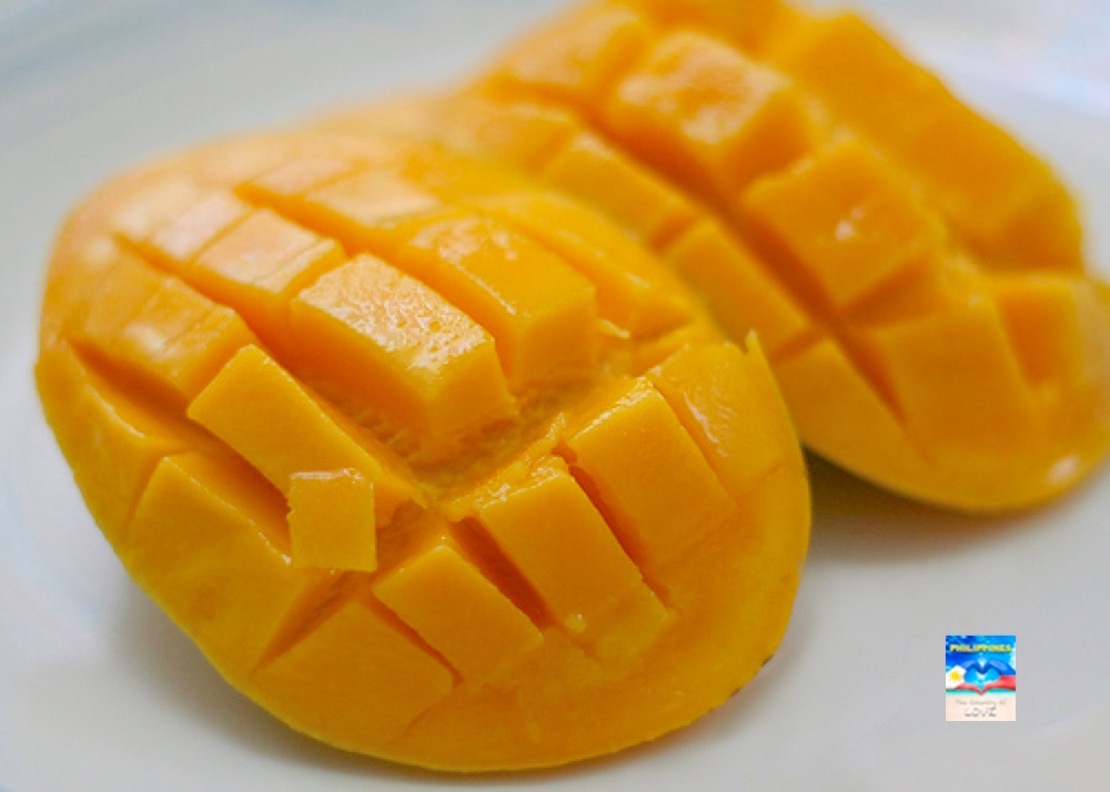 WORLD'S SWEETEST MANGO AND SWEETEST FRUIT PHILIPPINE CARABAO MANGO