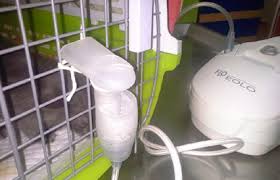 metered dose inhaler (MDI) kucing metered dose inhaler (MDI) kucing