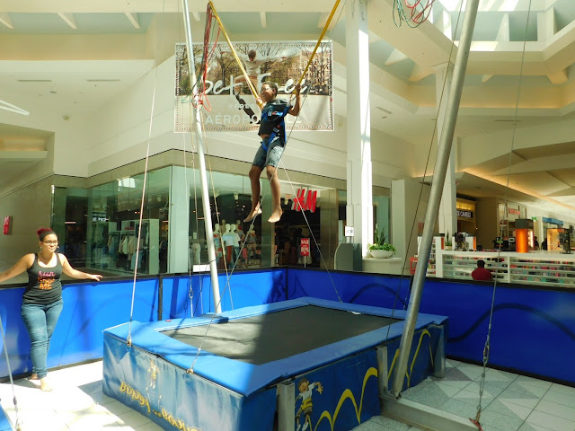 Bungy Bounce at Great Northern Mall