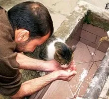 Gambar seorang lelaki memberi minum seekor kucing