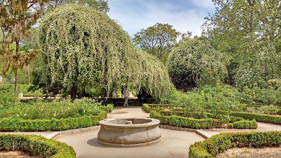 Real Jardín Botánico - Madrid Real Jardín Botánico - Madrid